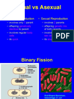 Sexual Vs Asexual