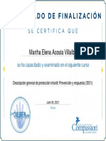 Descripción General de Protección Infantil Prevención y Respuesta (2021) - Certificado