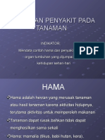 Hama Dan Penyakit Pada Tanaman