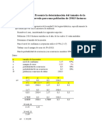 Tamaño de La Muestra