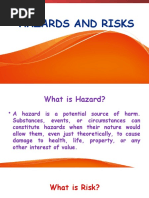 PPPT Hazard and Risk