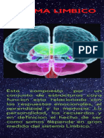 Estructuras Cerebrales Sistema Limbico