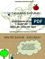 Tanaman Sayuran Tahun 6