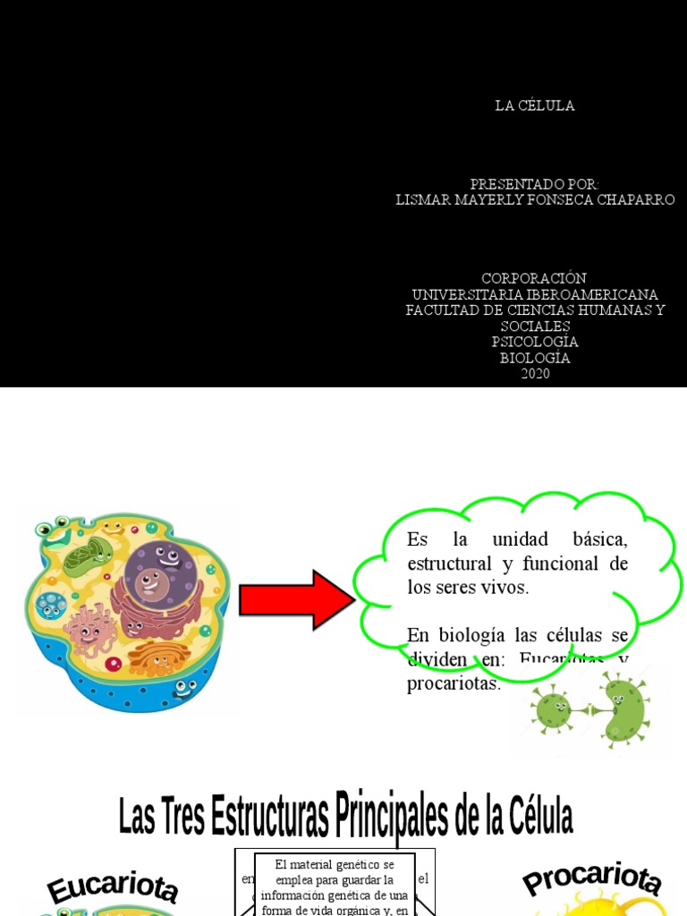 Estructura y Funciones de la Célula | PDF | Citoplasma | Biología Celular)
