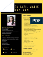 Mehreen Jazil Malik Kandaan: Career Summary