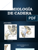 Semiología de Cadera