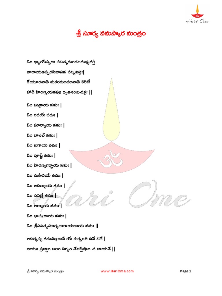 RSS Sakha | PDF