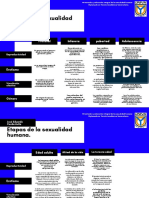 1.2 Etapas de La Sexualidad Humana