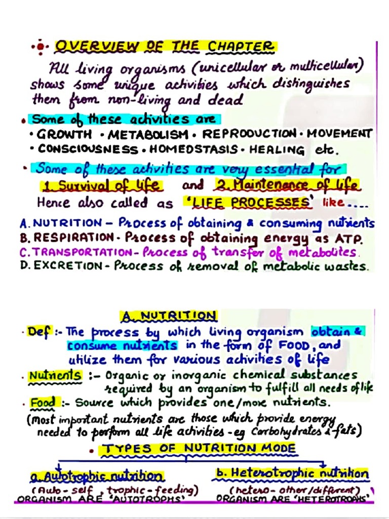 Life Processes Nutrition Pdf Human Digestive System Small Intestine