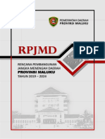 RPJMD 2019-2024