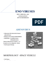 Adeno Viruses: MRS. D. BINDU MSC., PHD., Assistant Professor Dept of Microbiology