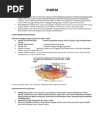 Download ENZIM by dhinie_moeth4265 SN51639322 doc pdf