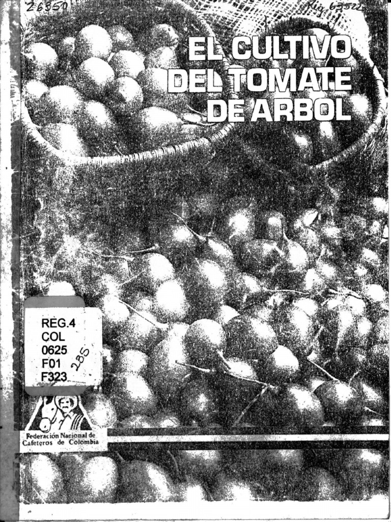 El Cultivo Del Tomate De árbol Pdf Botánica Horticultura Y