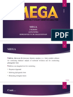 MEGA software for molecular evolution analysis