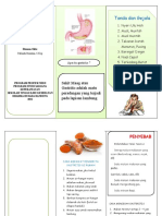 Leaflet Gasteritis