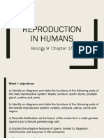 Biology 9 - Reproduction in Humans