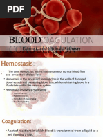 Blood Coagulation: Extrinsic and Intrinsic Pathway