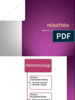 Nematoda 1