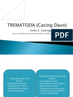 Trematoda