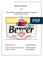 Berger Paints Project Report on Distribution Channel and Peer Comparison