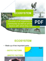 Ecosystem