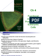 Functional Anatomy of Proka and Euka Cells