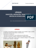 Semana 06 Lipidos Digestión Absorción Transporte Lipogénesis