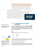 Lectura Acidos Nucleicos