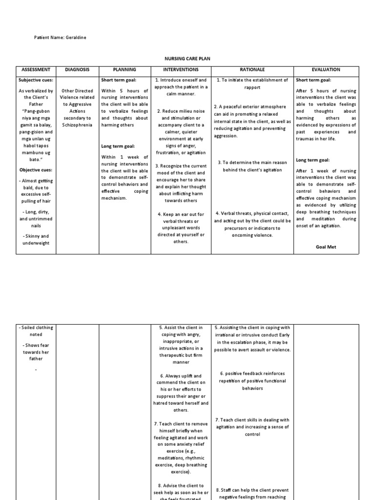 Nursing Care Plan for Schizophrenia and Depression | PDF | Anger ...