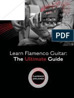 Flamenco Ultimate 