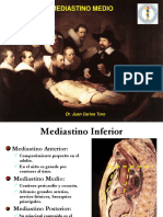 3mediastinomedioi 141103205926 Conversion Gate02