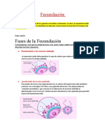 Fecundación