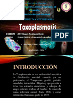 Toxoplasmosis