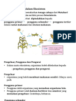 Nota - BAB 2 Ekosistem