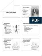 129933420-8-bacteriofag