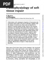 Pathophysiology of Soft Tissue Repair