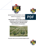 MANEJO DE PLANTACIONES FORESTALES