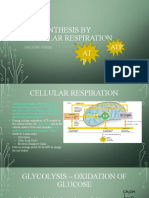 Atp Synthesis by Cellular Respiration AT P: Caroline Sueper