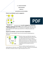 Leyes de Mendel y cruces genéticos