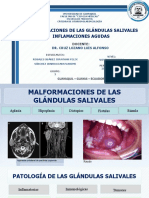 sialoadenitis