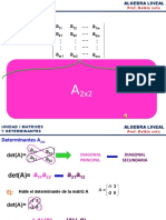UNIDAD I Determinantes
