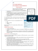 HORMONAS TIROIDEAS EN TEJIDOS PERIFÉRICOS - Katherine Plaza Alvarado G8