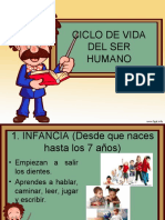 Ciclo de Vida Del Ser Humano