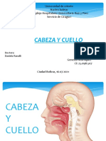 Cabeza y Cuello Genesis