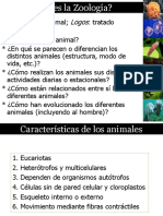 (1) Arquitectura animal
