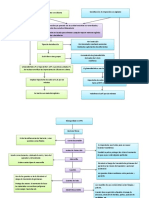 Mapa Conceptual