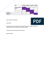 Cronograma Actividades