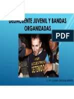 Delincuente Juvenil y Bandas Organizadas