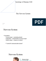 Chapter 7 Student Version The Nervous System 2020 (1138)