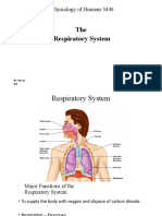 Chapter 13 Student Version The Respiratory System 2020.ppt (1186)